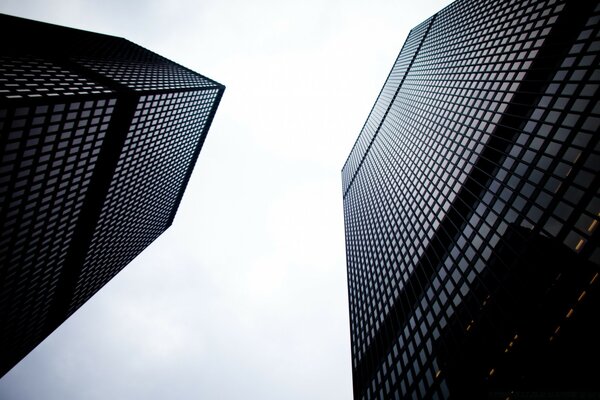 Skyscrapers stretching into the gray sky