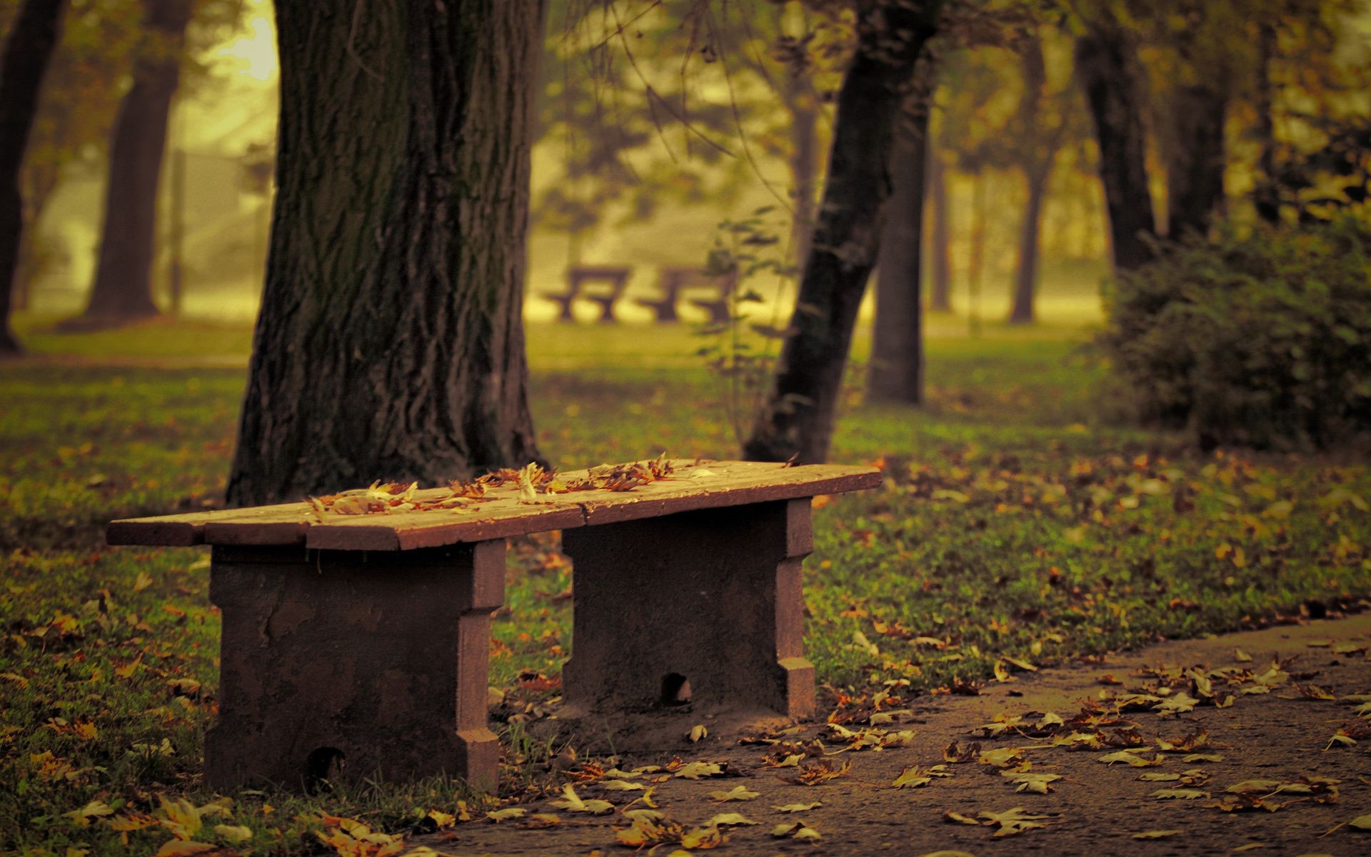 Autumn Bench effect the Park the trees the fallen leaves ...