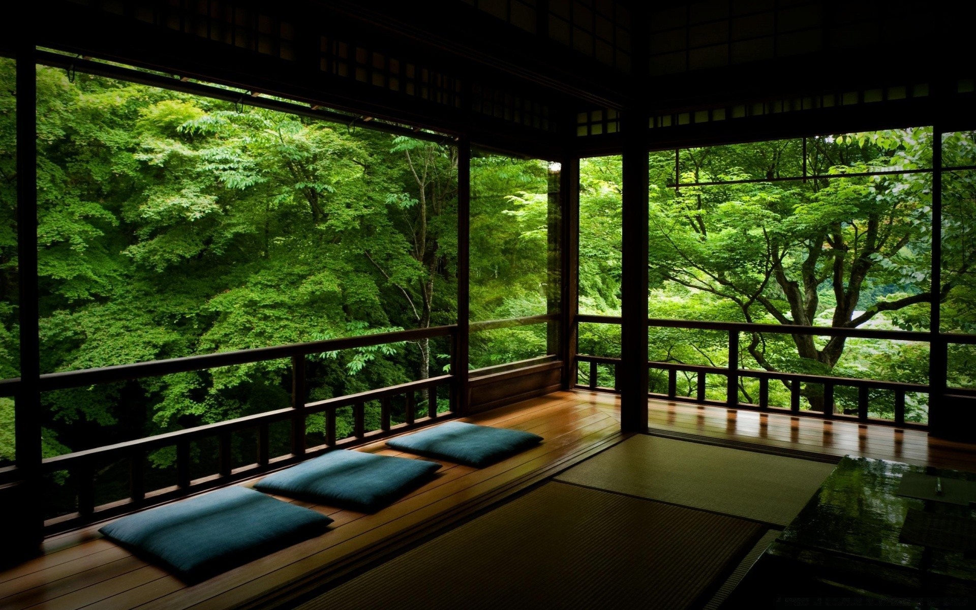 interior window light wood nature leaf tree room grass garden house travel architecture flora seat