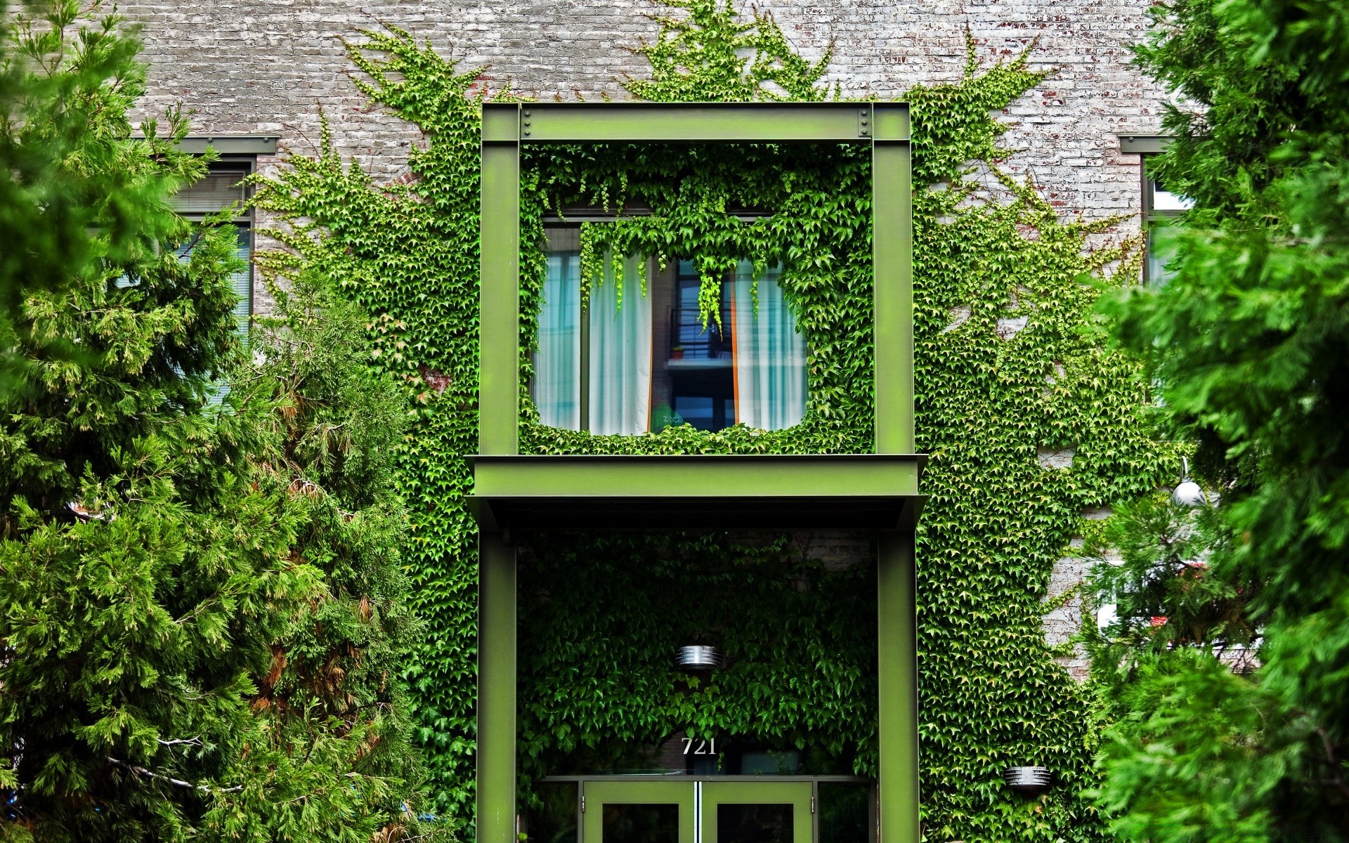 casa e interior casa arquitetura janelas jardim família ivy casa madeira ao ar livre exterior folha velho parede porta