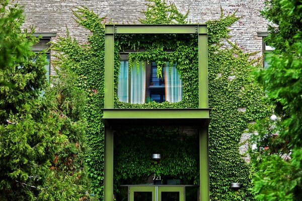 Wunderschön mit Pflanzen bewachsener Balkon