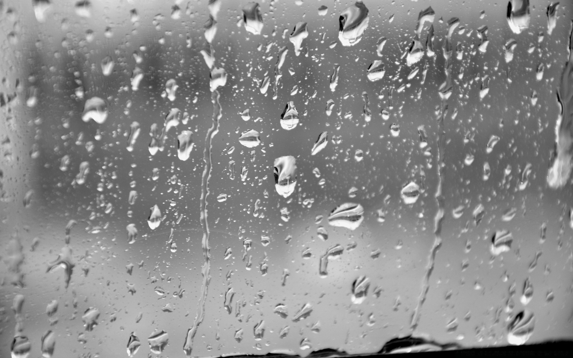 blanco y negro lluvia mojado gota rocío gotas agua burbuja limpio splash gotas waterdrop lavado líquido claro limpio ondulación lluvia frío