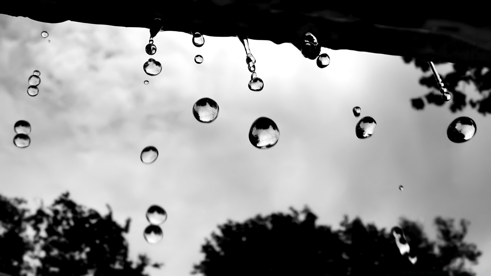 black and white rain drop bubble splash clear drip desktop nature wet droplet clean color liquid abstract wash