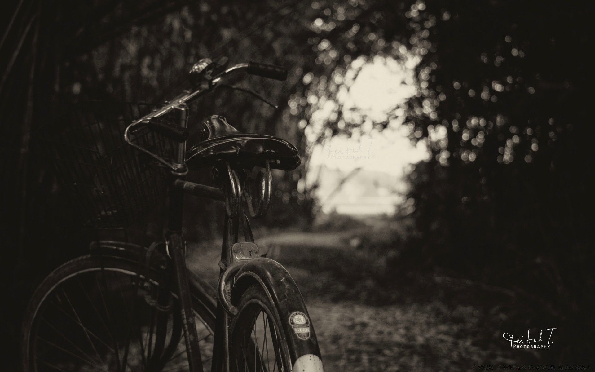 noir et blanc roues système de transport voiture vélo assis à l extérieur un monochrome adulte action sombre