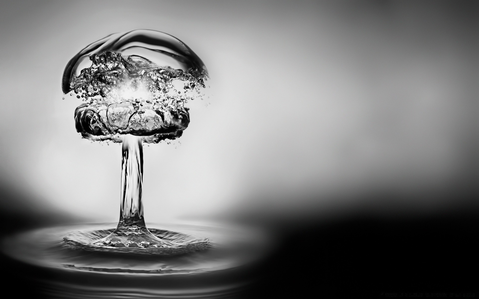 blanco y negro monocromo frío oscuro beber hielo agua vidrio reflexión comida naturaleza muerta solo arte