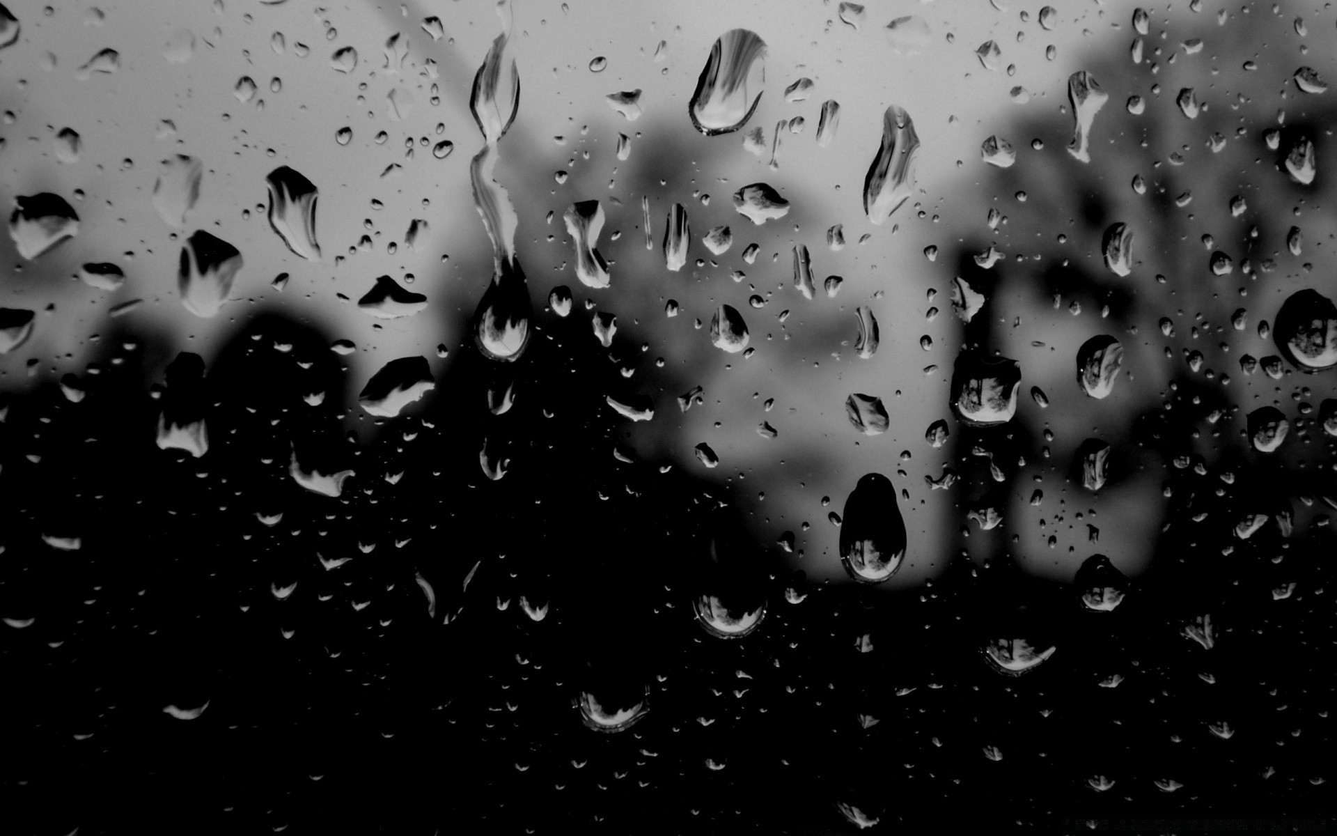 noir et blanc goutte pluie splash humide bulle gouttes eau liquide propre goutte à goutte clair rosée résumé mouvement boire laver flux sous-marin propreté