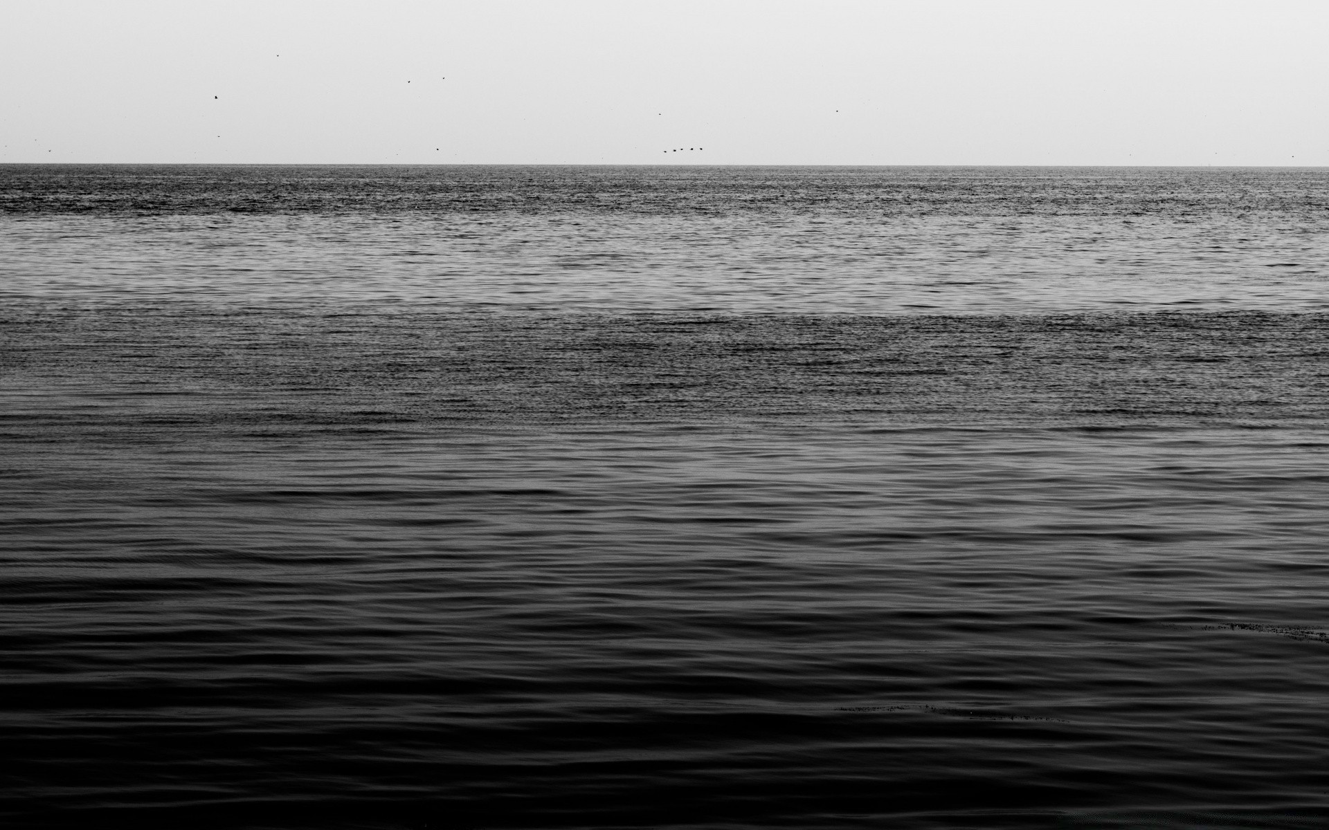 black and white water sea ocean lake beach landscape seascape reflection sunset texture river nature