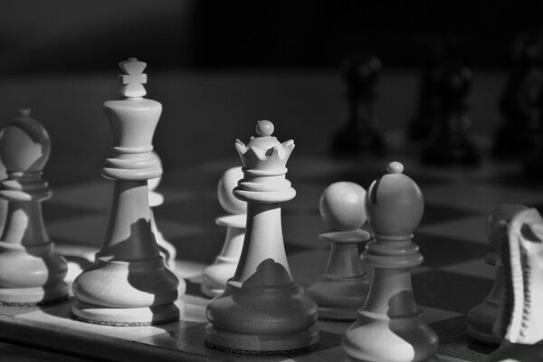 Chess pieces in black and white photo