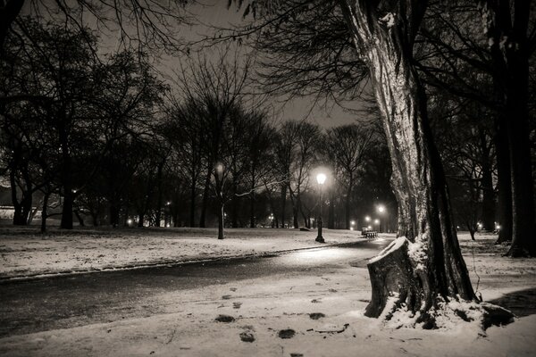 The light of lanterns near the road