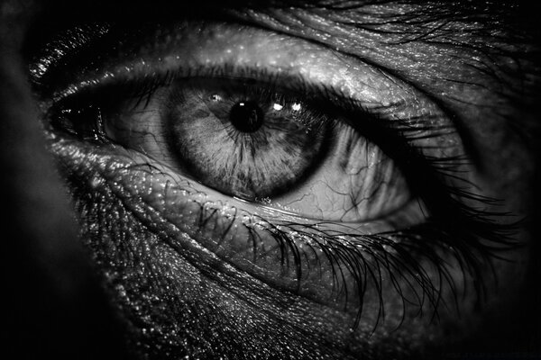 Black and white girl s eye close-up