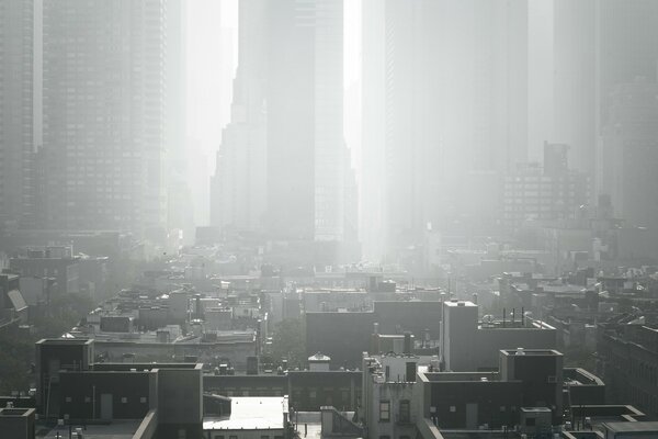 Black and white skyscrapers against the background of the whole city