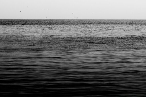 Mer noire et blanche avec un horizon clair