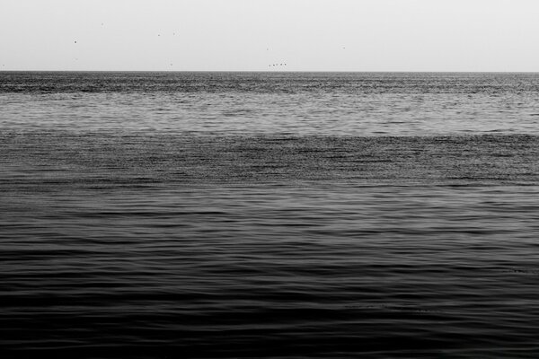 Net bir ufka sahip siyah-beyaz deniz