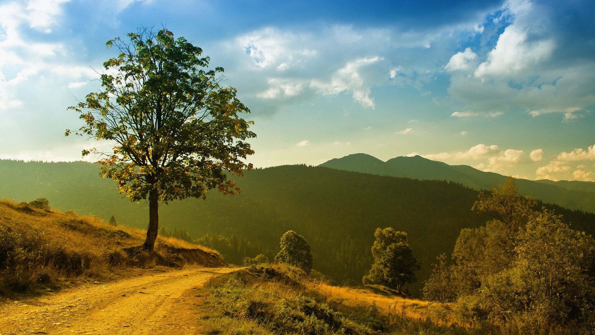 road landscape tree nature sky travel sunset outdoors wood dawn mountain sun fair weather scenic leaf summer