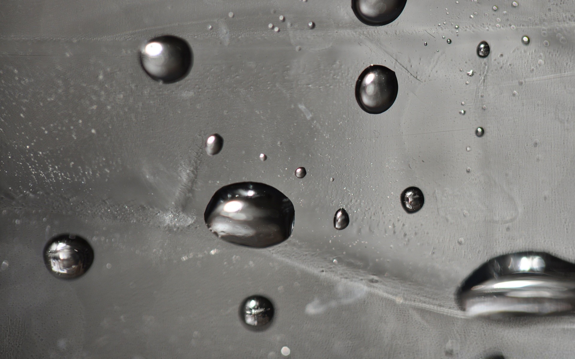 blanco y negro lluvia gota mojado gotas rocío limpio burbuja splash claro agua reflexión gotas lavado líquido gota de agua limpio punta de goteo limpio primer plano