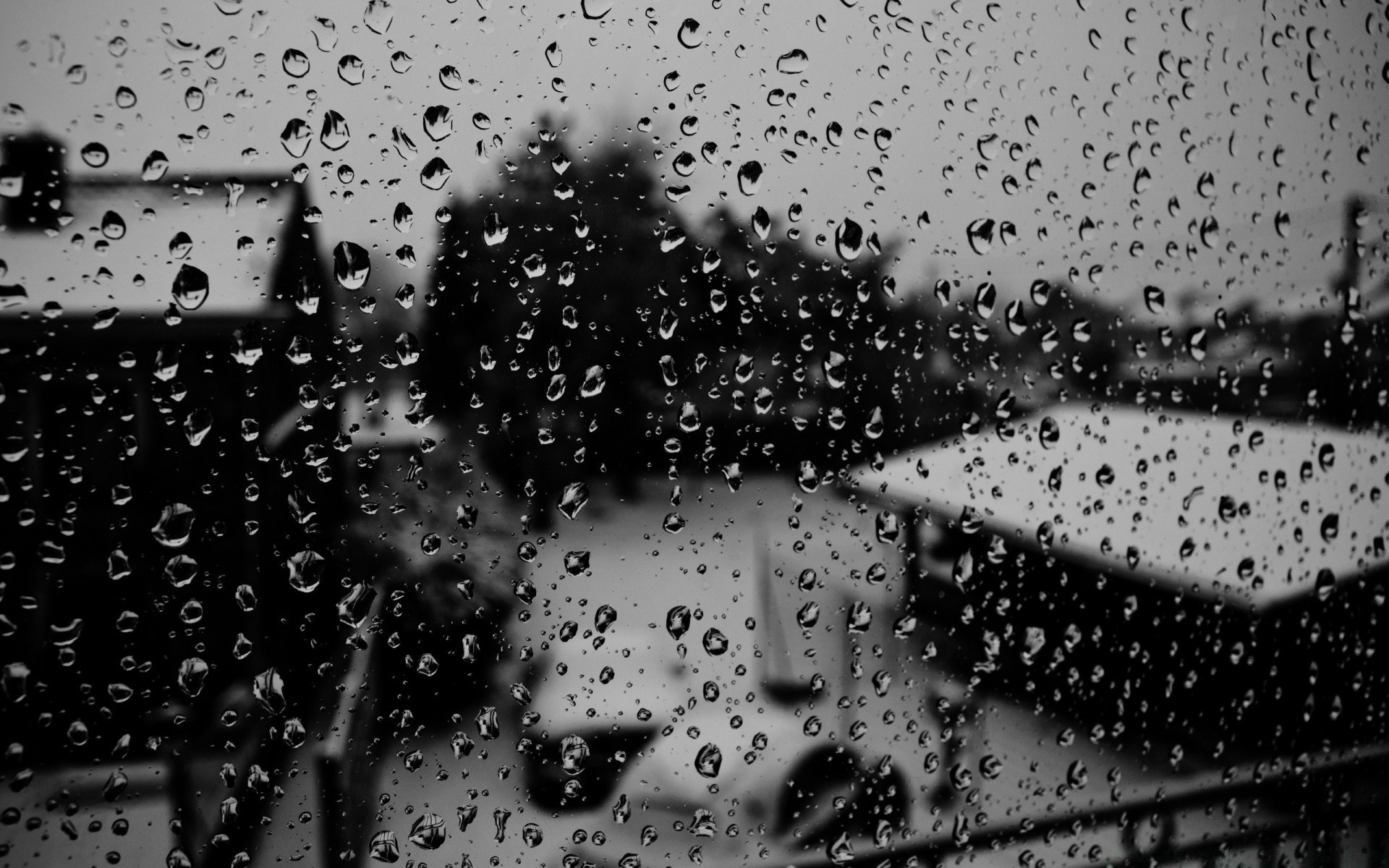 blanco y negro splash lluvia gota punta de goteo resumen aerosol gotas mojado agua textura líquido rocío burbuja escritorio patrón waterdrop arte mancha diseño gotas