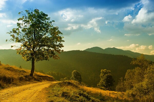 Eine einladende Landschaft mit einem Baum in ruhigen Farben