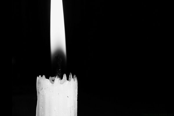 Monochrome still life of a burning candle