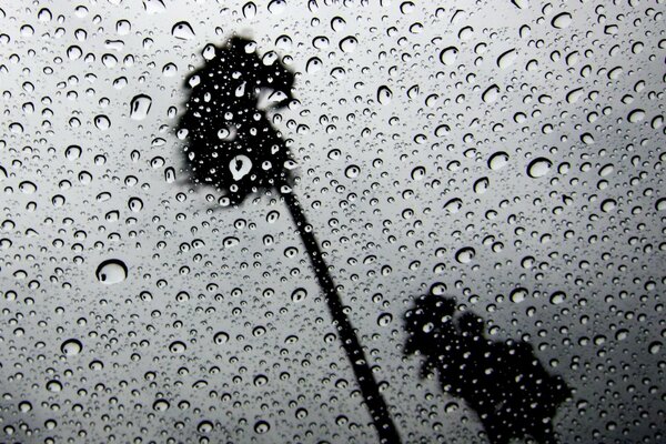 Autumn and rainy weather outside the window