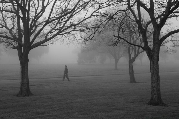 A lonely man in the fog