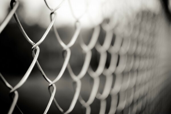 Monochrome photo of the chain link grid