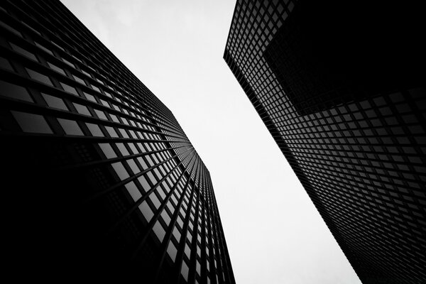 Monochrome painting of modern skyscrapers