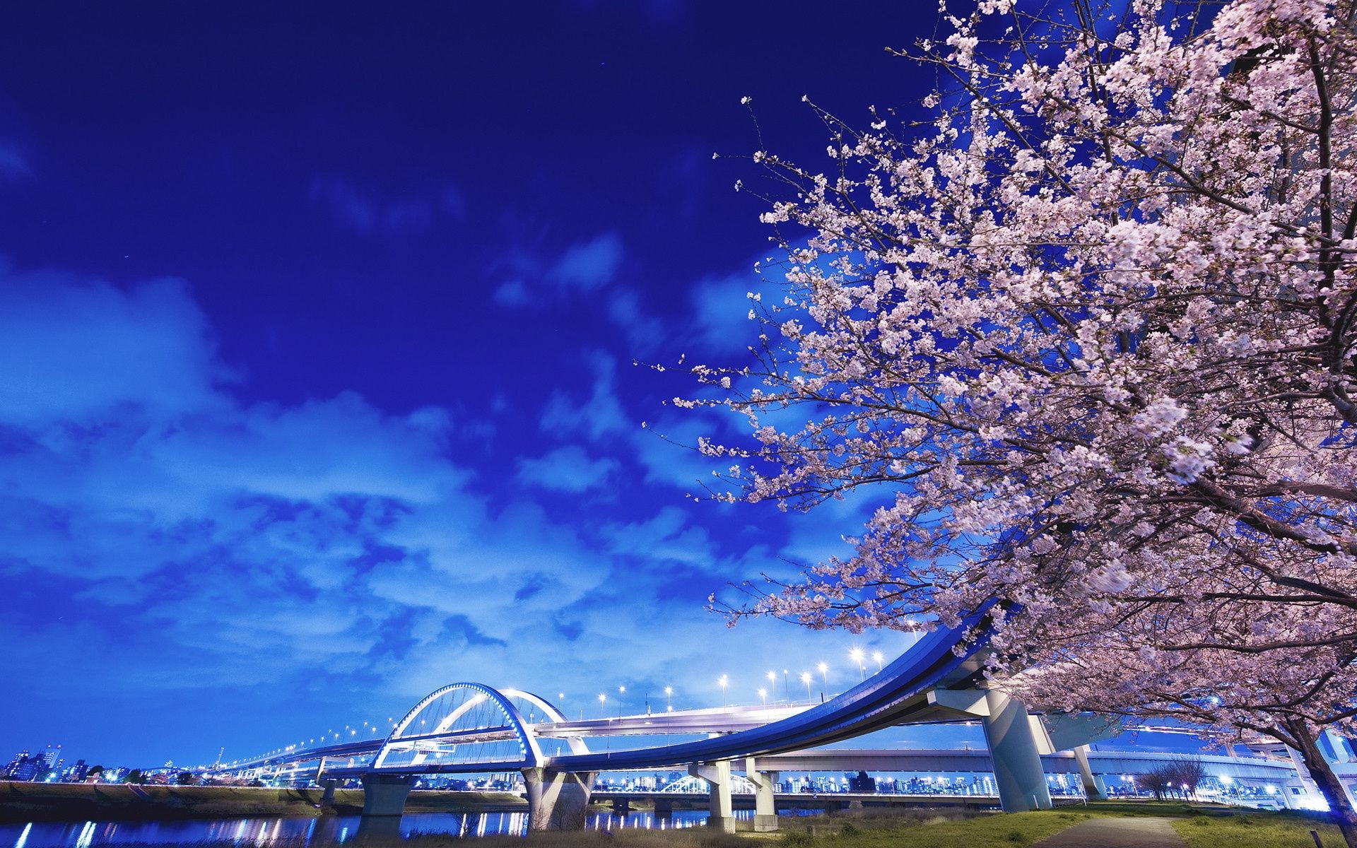 night evening twilight sky travel tree outdoors landscape light nature water city evening dusk