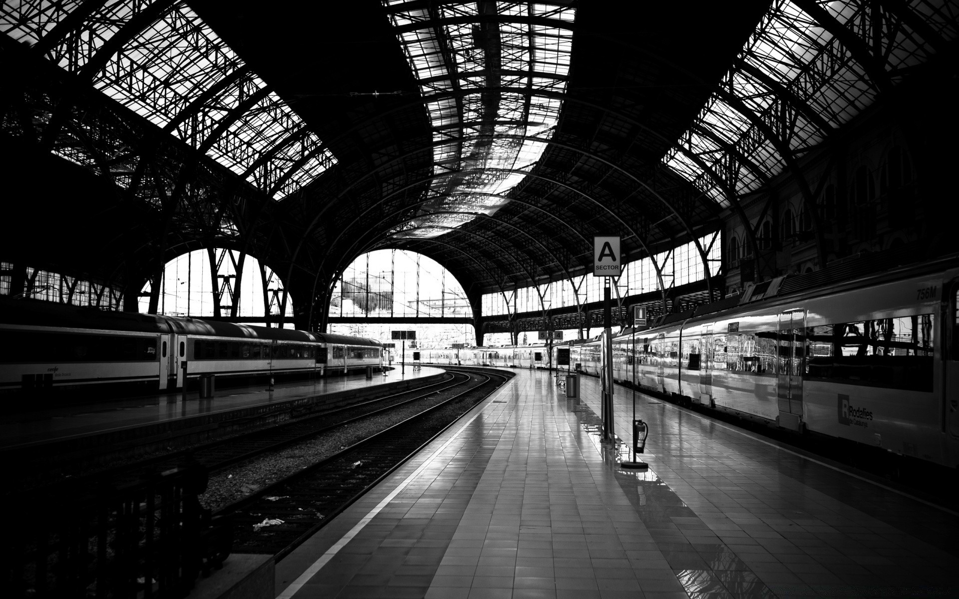 bianco e nero treno sistema di trasporto ingorgo ferrovia urbano aeroporto architettura città viaggi monocromatico casa tunnel stazione acciaio prospettive moderno luce