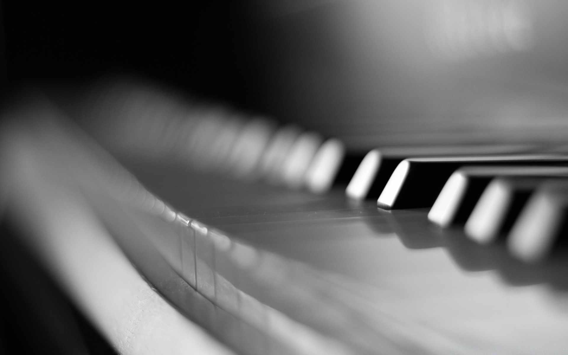 preto e branco piano monocromático borrão jazz música ébano som abstrato chave instrumento arte analógico teclado estúdio dof gato acústico sintetizador brilha