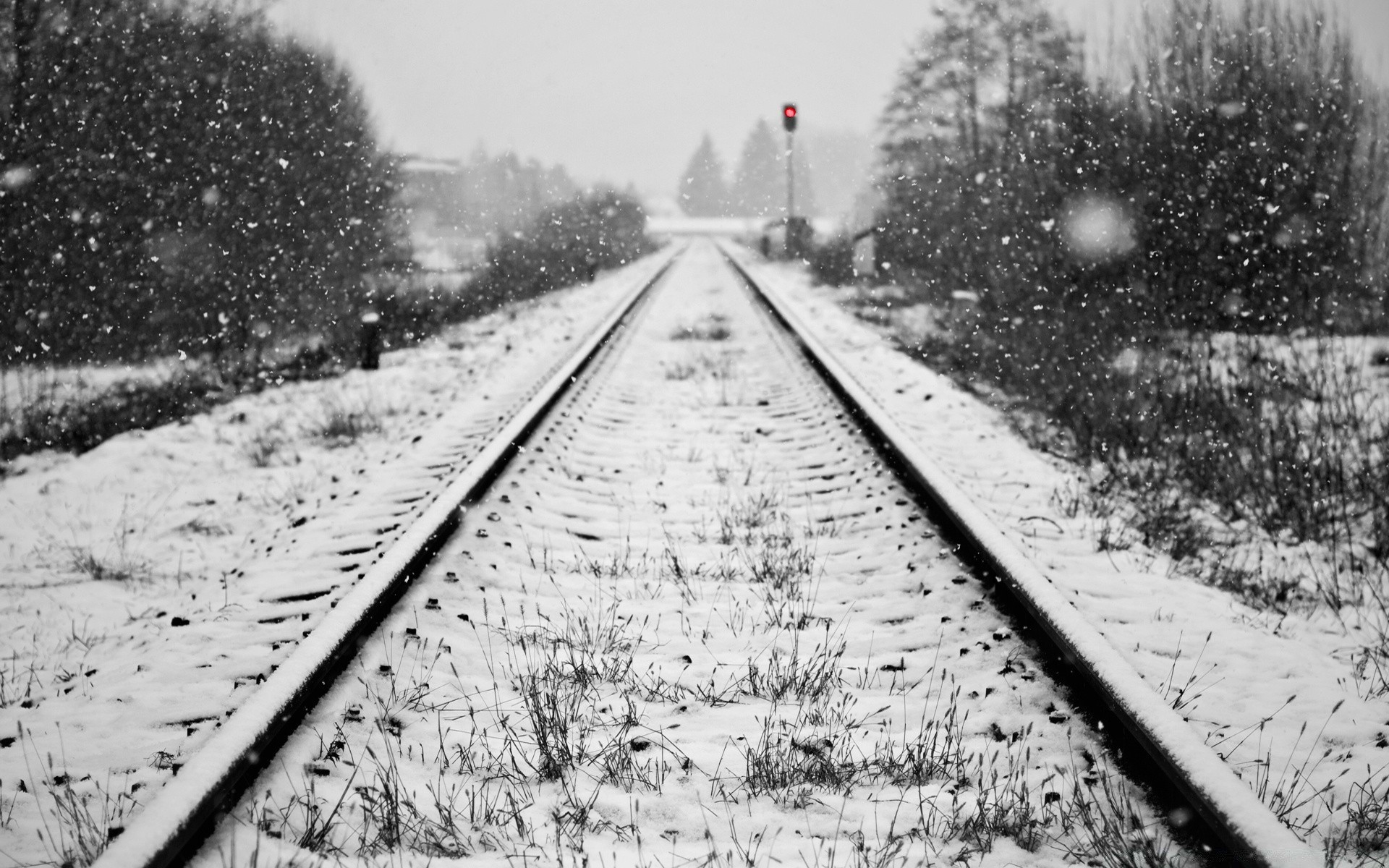 bianco e nero ferrovia treno guida pista sistema di trasporto strada viaggi linea prospettiva traffico avanti pendolare incrocio luce incrocio motore cortile di passaggio