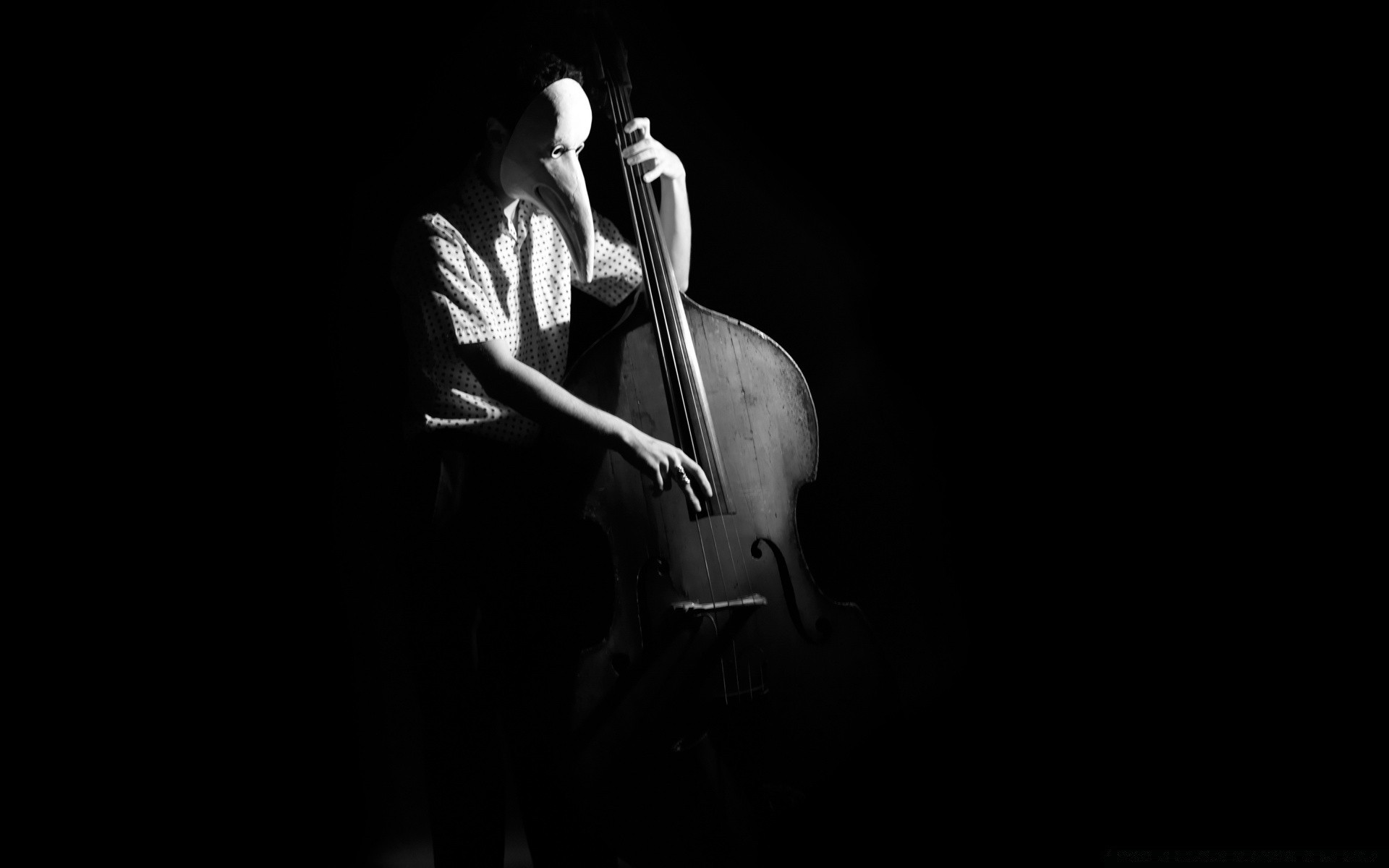 schwarz und weiß musik musiker konzert leistung ein instrument frau monochrom sänger mann erwachsener band dunkel