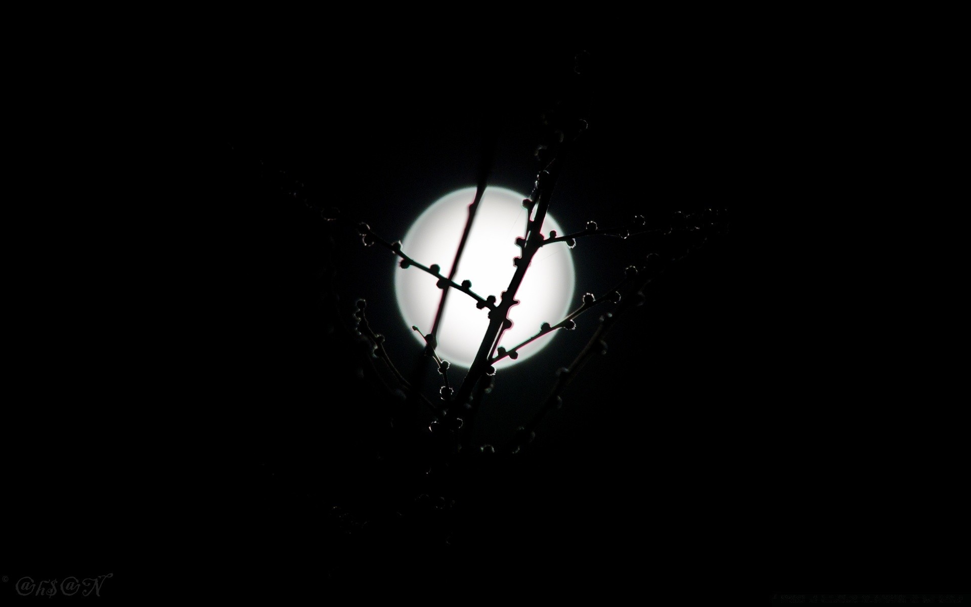 noir et blanc lune sombre lumière astronomie art