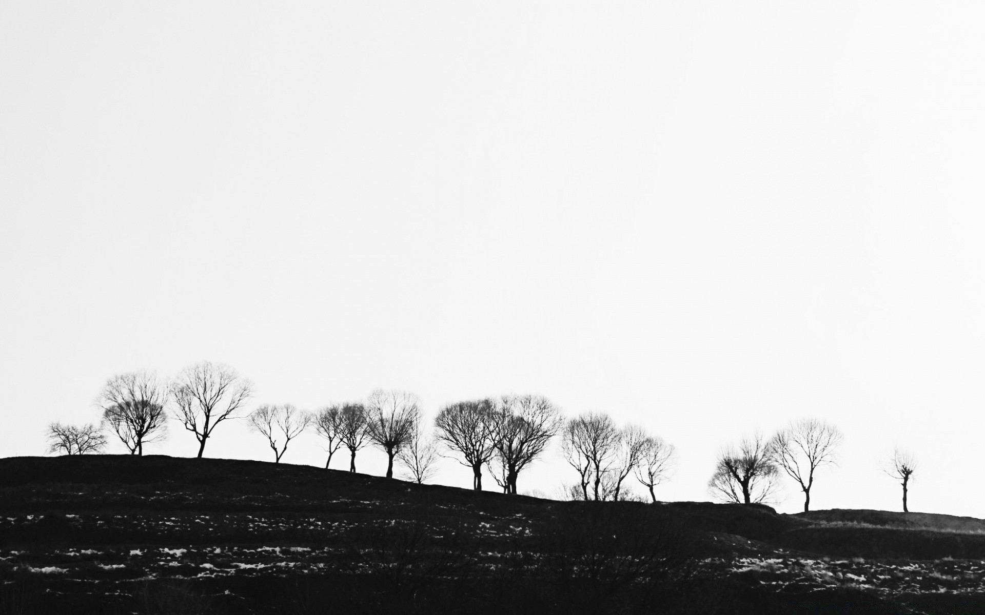 preto e branco névoa paisagem árvore monocromático névoa inverno natureza amanhecer outono neve céu silhueta ao ar livre pôr do sol sépia luz