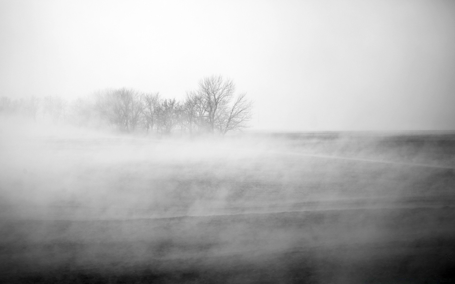 czarno-biały mgła krajobraz mgła monochromatyczny zima pogoda natura światło burza drzewo moody deszcz drewno woda jezioro świt niebo