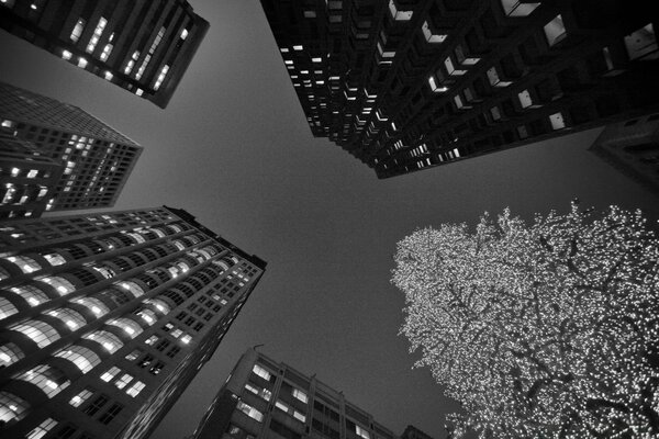 Architecture en noir et blanc dans les affaires