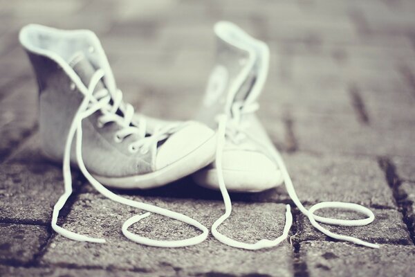 Chaussures de mode noir et blanc