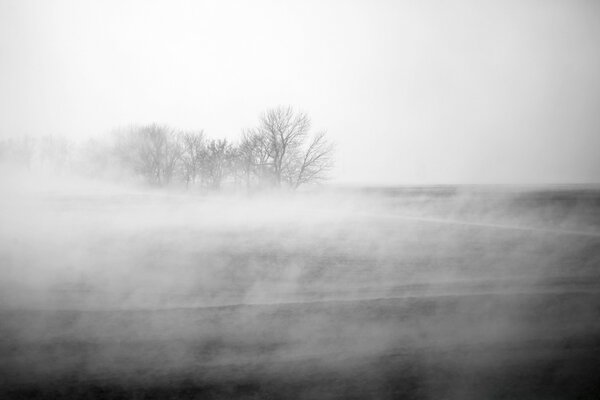 Landscape black and white fog