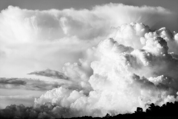 Schwarz-Weiß-Landschaft der Natur mit Wald und Wolken