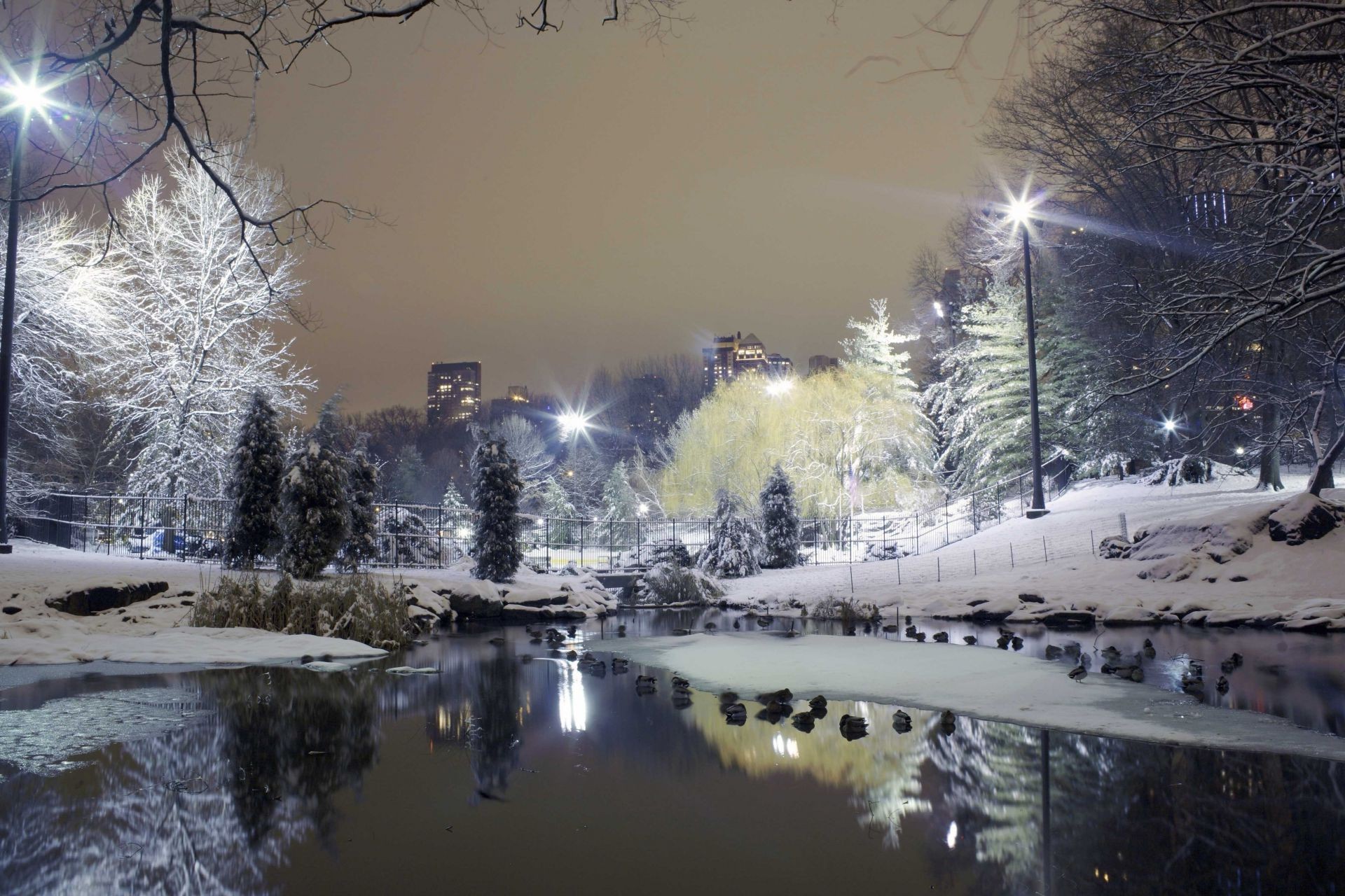 city winter snow landscape cold weather ice frozen frost light tree reflection dawn fog water evening christmas urban travel