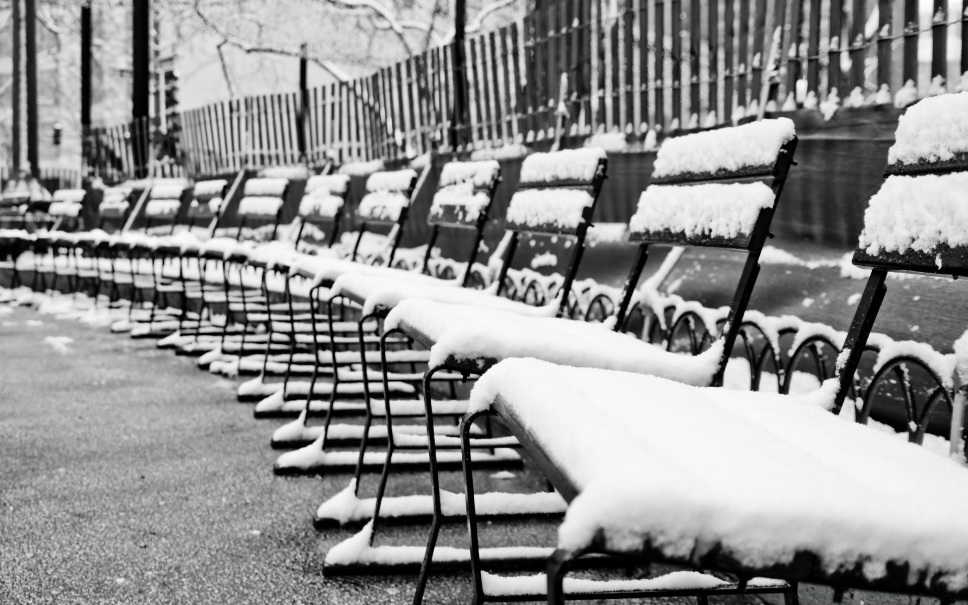 black and white many group adult chair