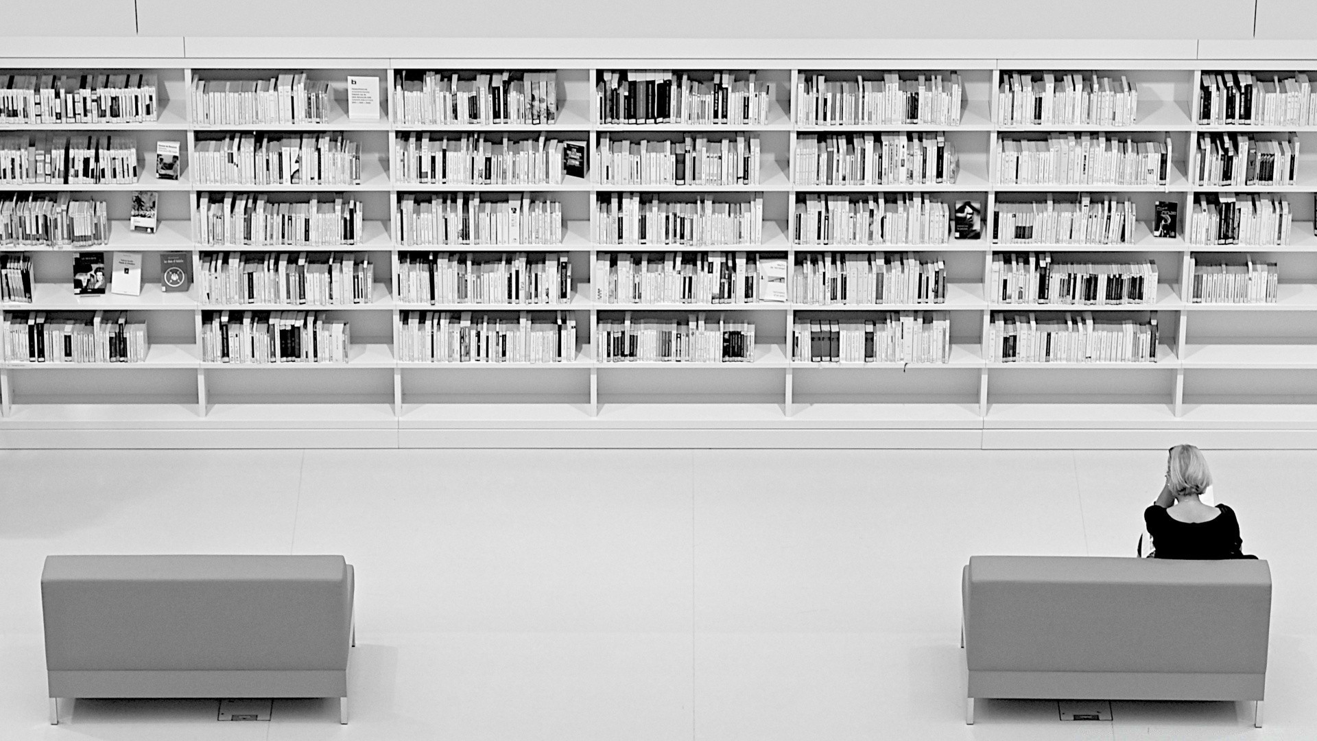 blanco y negro estantería estantería biblioteca habitación muebles familia interior educación monocromo apartamento