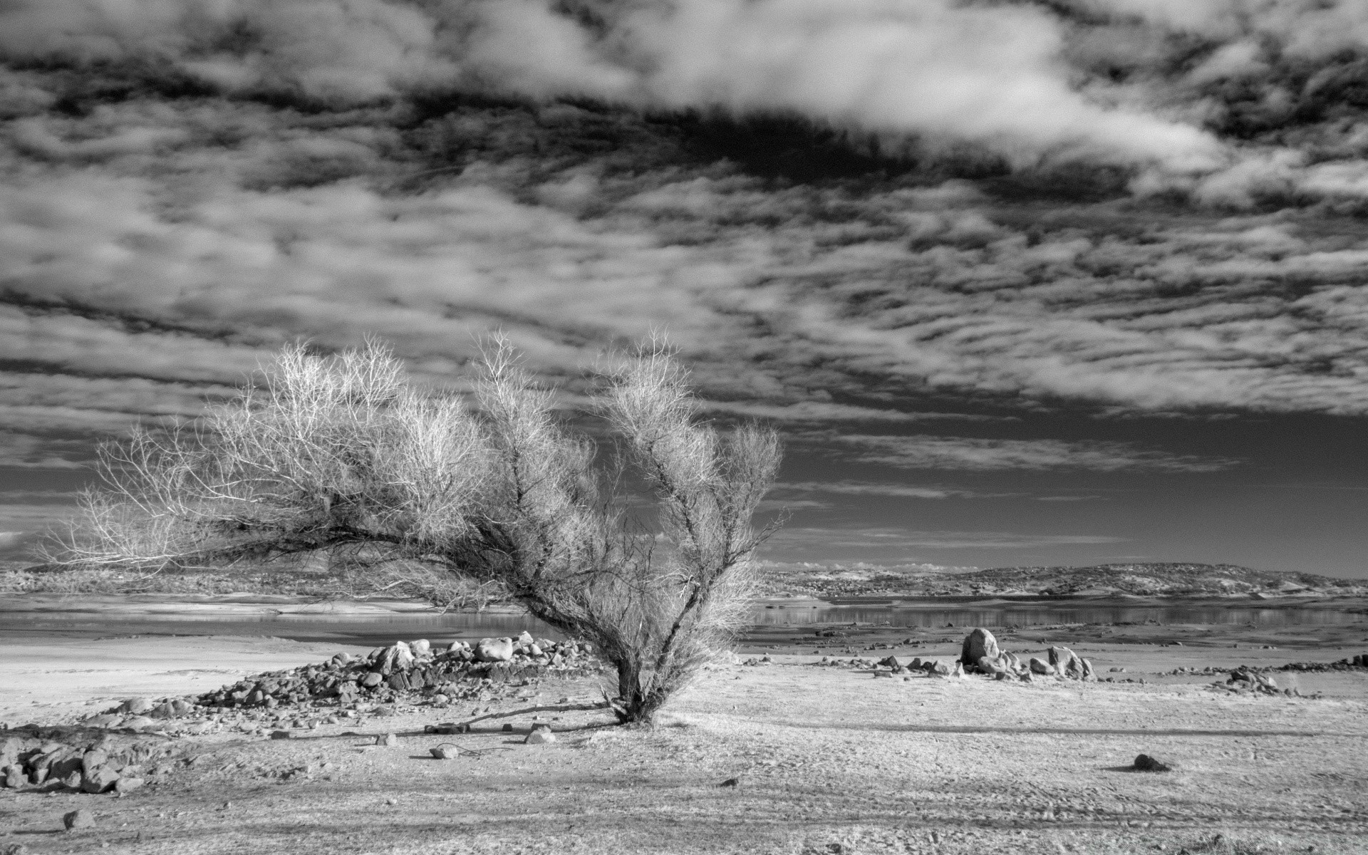 preto e branco paisagem água monocromático inverno natureza tempestade