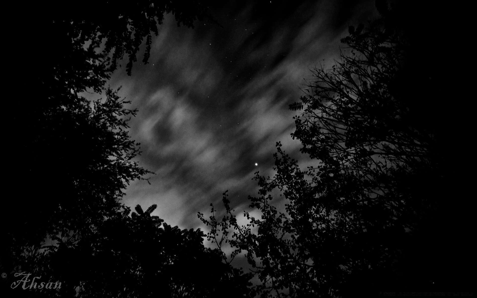 blanco y negro monocromo naturaleza oscuro árbol luna sol niebla cielo paisaje amanecer invierno contraste al aire libre puesta de sol