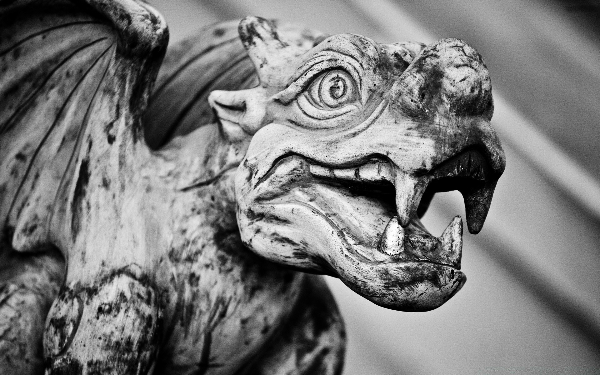 blanco y negro escultura arte estatua cementerio retrato cara religión antiguo museo