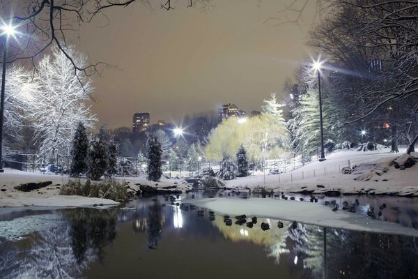 Jardín de invierno con río por la noche