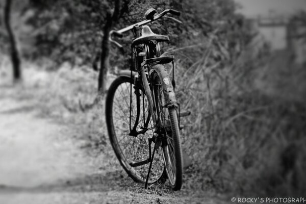 Black and white photo of a bicycle on the side of the road