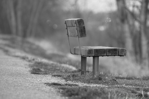 Wooden bench by the sandy road