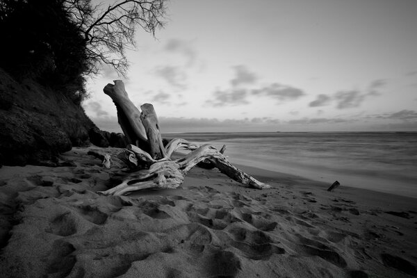 Praia em preto e branco