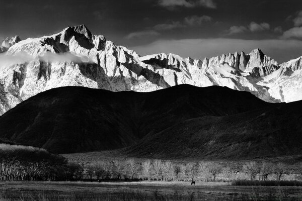 Paysage noir et blanc . Montagnes et arbustes