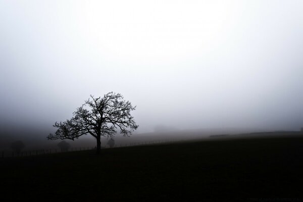 Und leise ging der Nebel auf die Erde